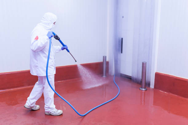 Best Pre-Holiday Cleaning  in Milford, NJ